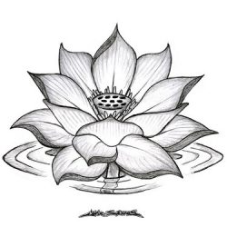 Flower - Copy
